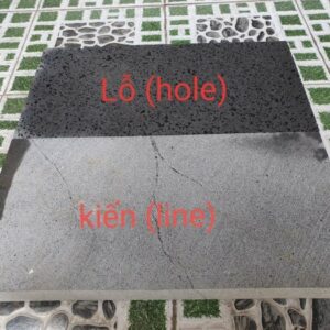 Đá tổ ong 300*600*50 mm
